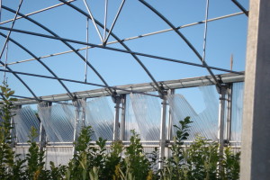 Efectos del viento sobre invernadero