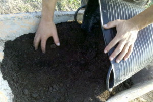 Fertilizante orgánico 2