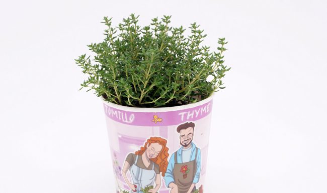 Tomillo Gourmet