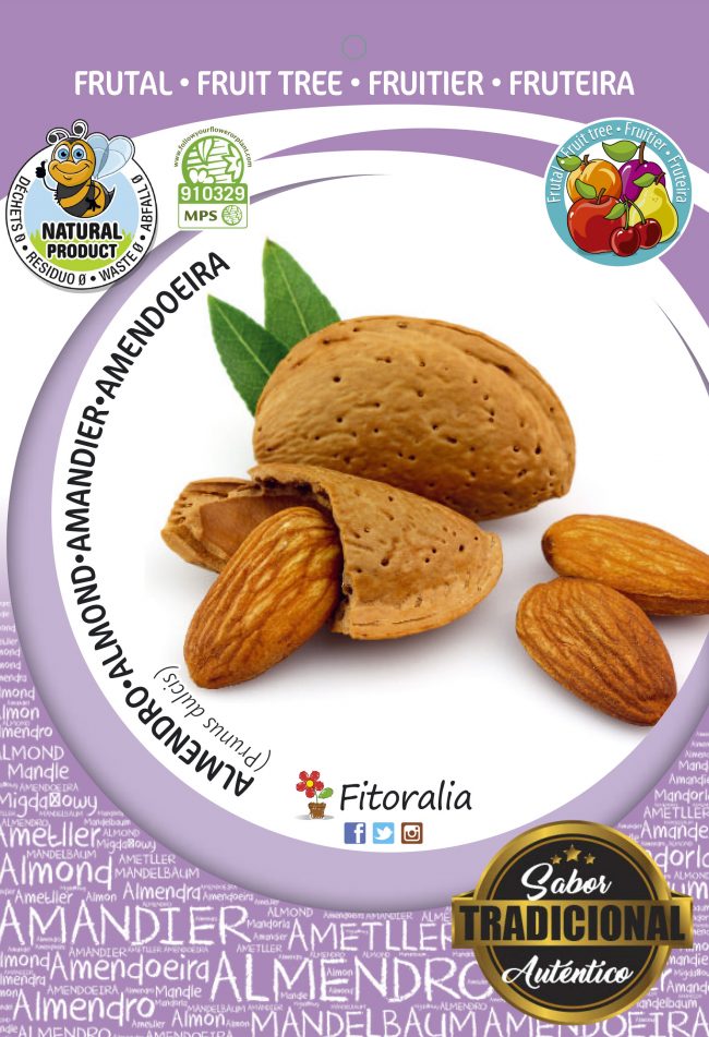 Almendro Ferraduel M-25 - Prunus dulcis