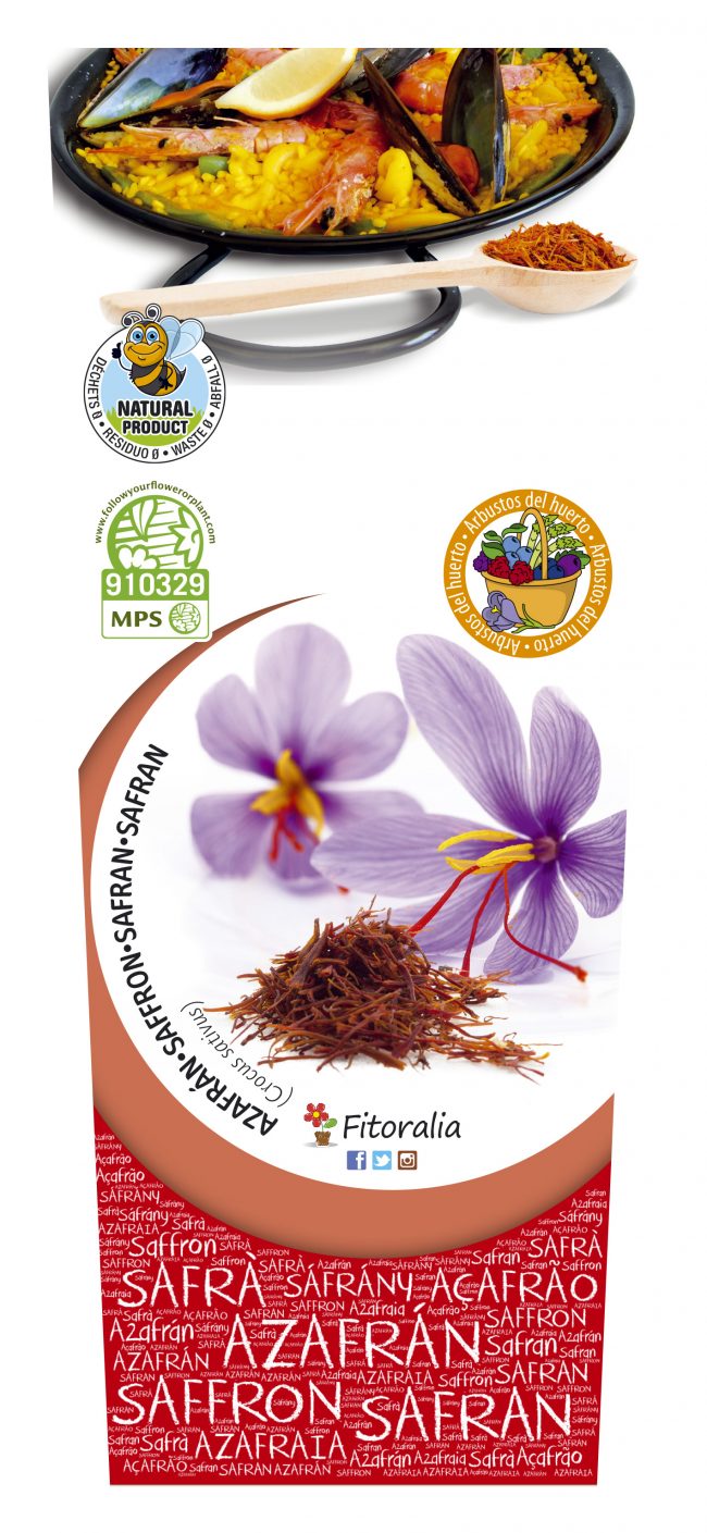 Azafrán 2l Crocus sativus