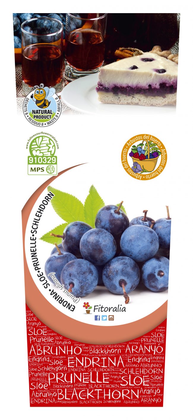 Endrino 2l Prunus spinosa