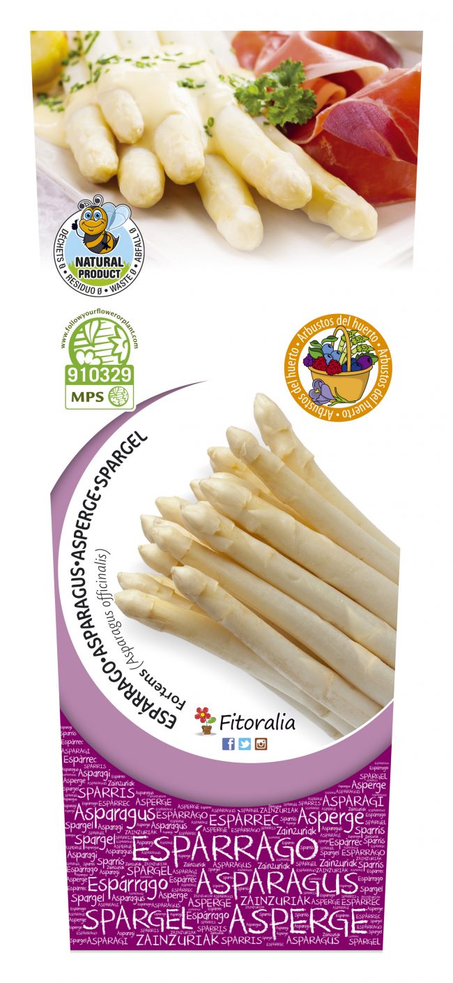 Espárrago Blanco 2l Asparagus officinalis
