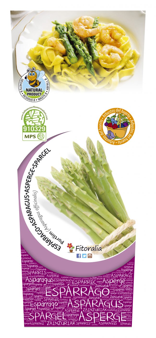 Espárrago Verde 2l Asparagus officinalis