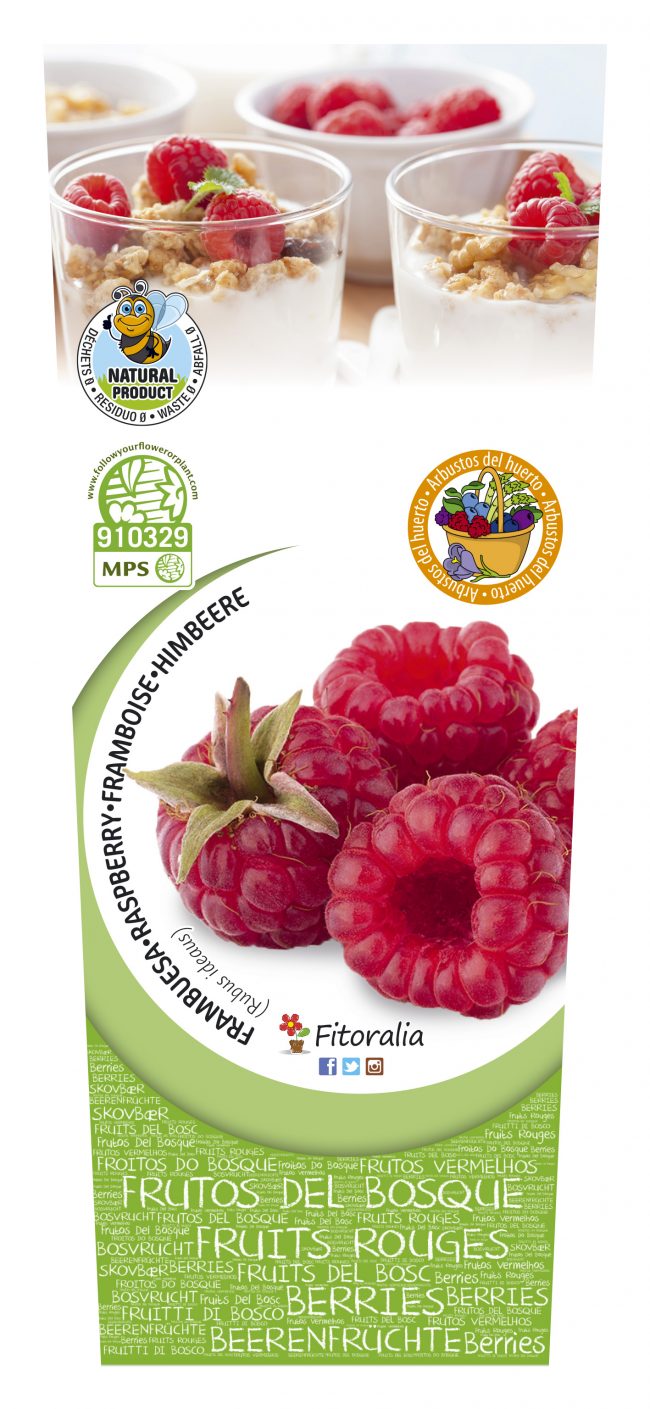Frambuesa 2l Rubus idaeus