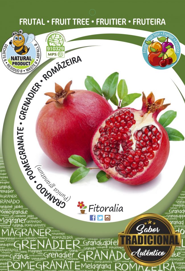 Granado Mollar de Valencia M-25 - Punica granatum