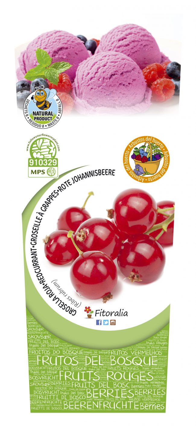 Grosella Roja 2l Ribes rubrum