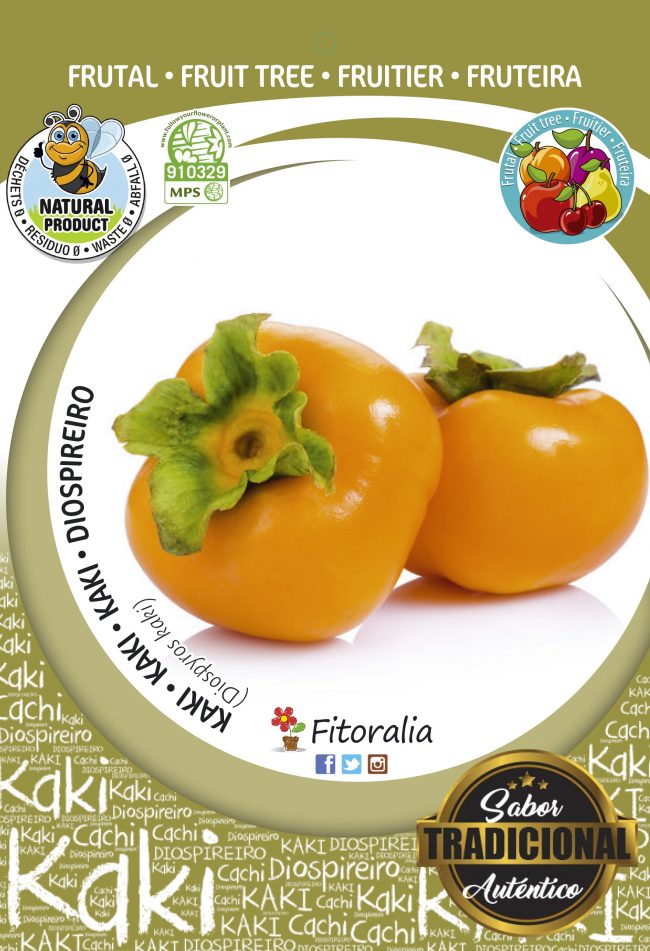 Kaki Rojo Brillante M-25 - Diospyros kaki