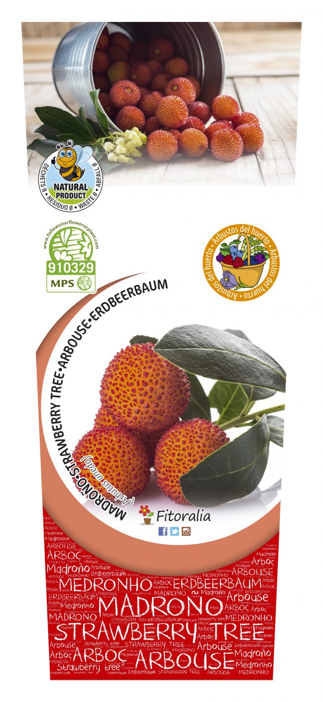 Madroño 2l Arbutus unedo