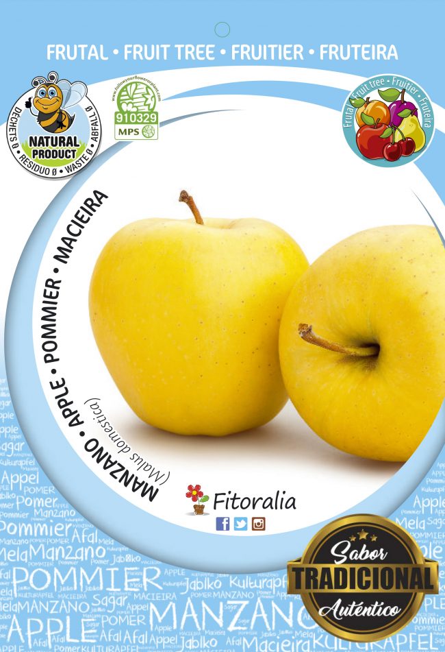 Manzano Golden M-25 - Malus domestica