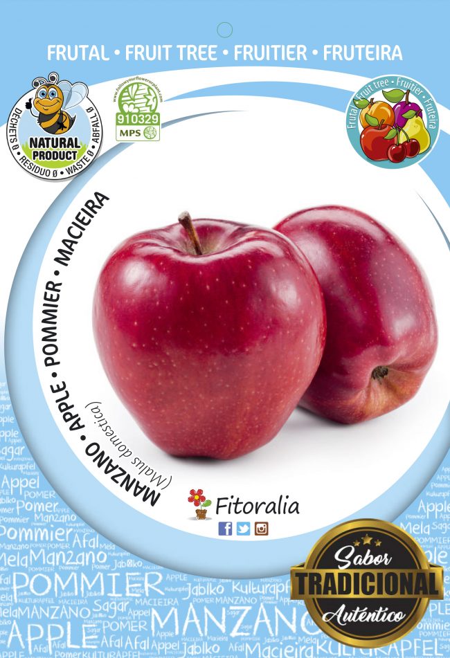 Manzano Top Red M-25 - Malus domestica