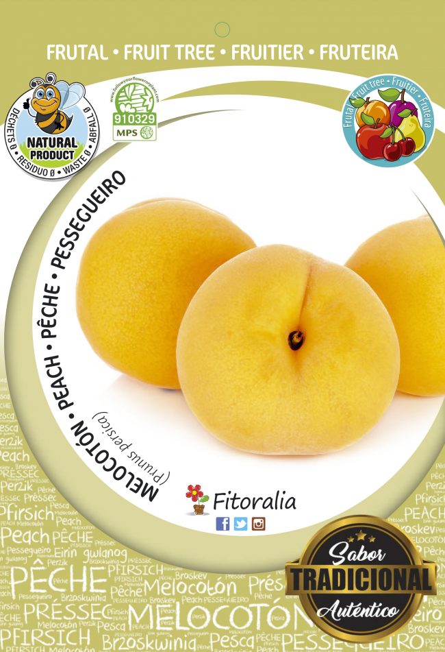 Melocotón A. de Calanda M-25 - Prunus persica
