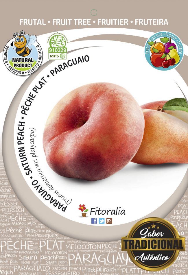 Melocotón Paraguayo Delfín M-25 - Prunus persica var. Platycarpa
