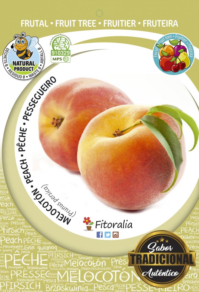 Melocotón Sprincrest M-25 - Prunus persica