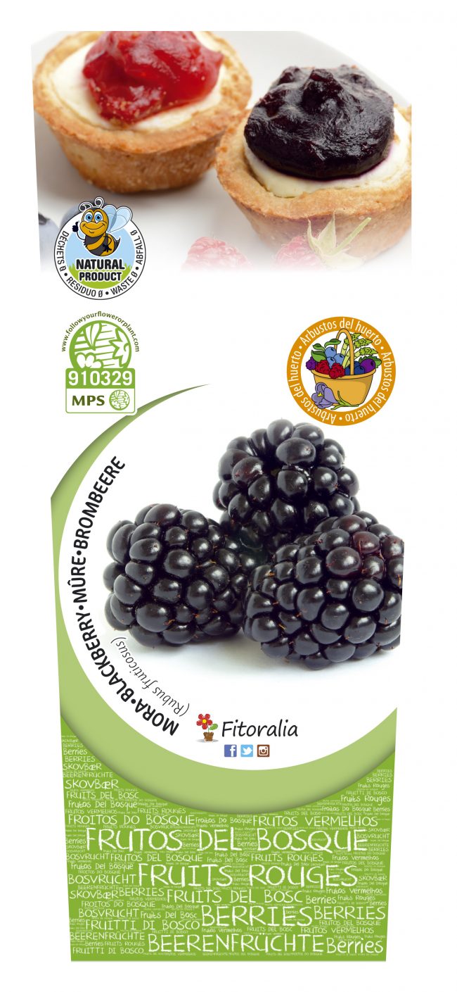 Mora 2l Rubus fruticosus