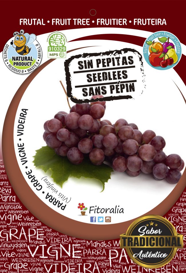 Parra Flame Seedless M-25 - Vitis vinifera