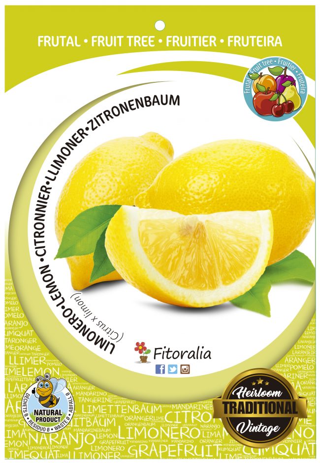 Limonero M-25 - Citrus x limon