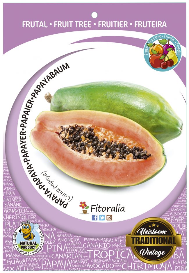 Papaya M-25 - Carica papaya